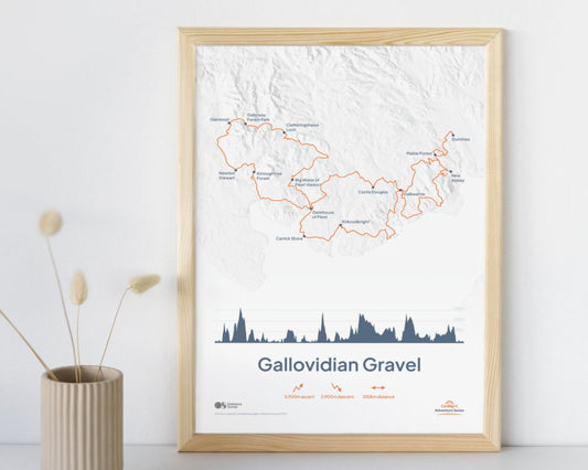 Gallovidian Gravel Art Print