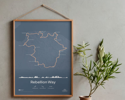Rebellion Way Art Print