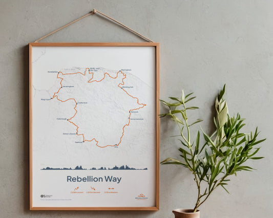 Rebellion Way Art Print