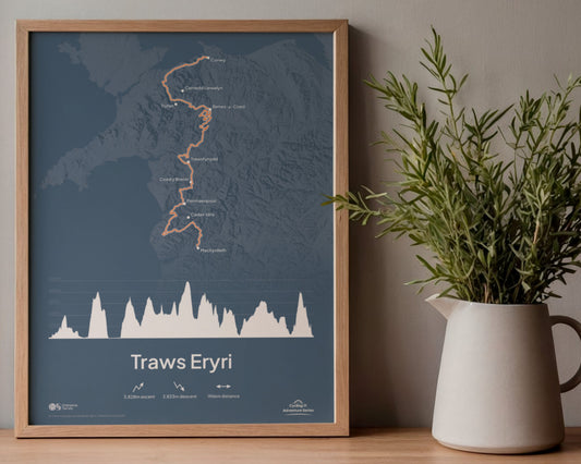 Traws Eryri Art Print